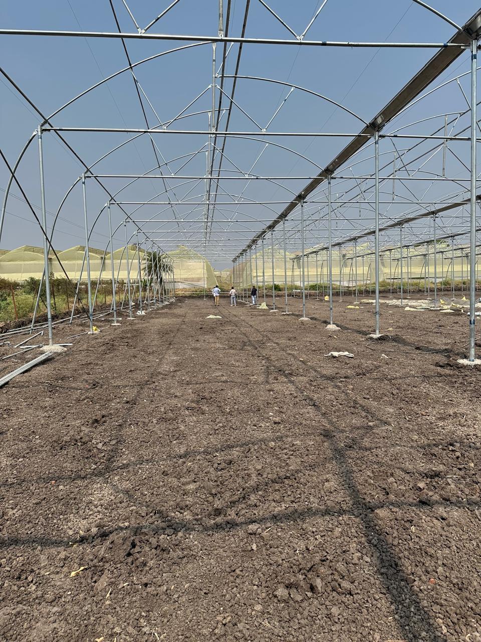 Greenhouse Project 78